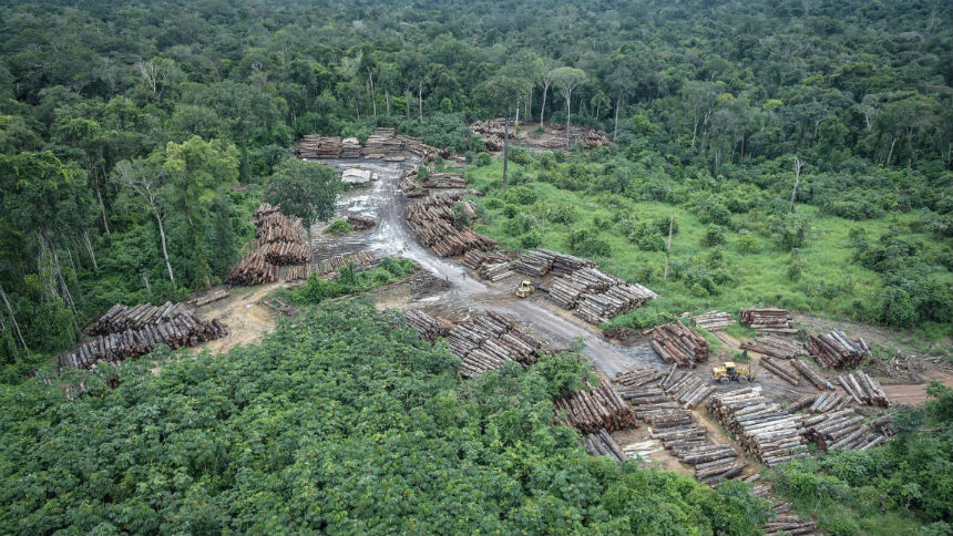 Permitir o desmatamento da Amazônia é rasgar dinheiro