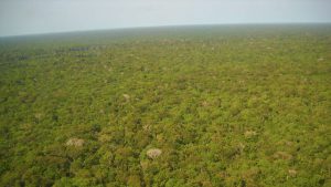 A Amazônia é nossa. E vale muito