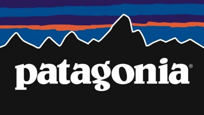 Será que o segredo da Patagonia é não distribuir ações aos executivos?