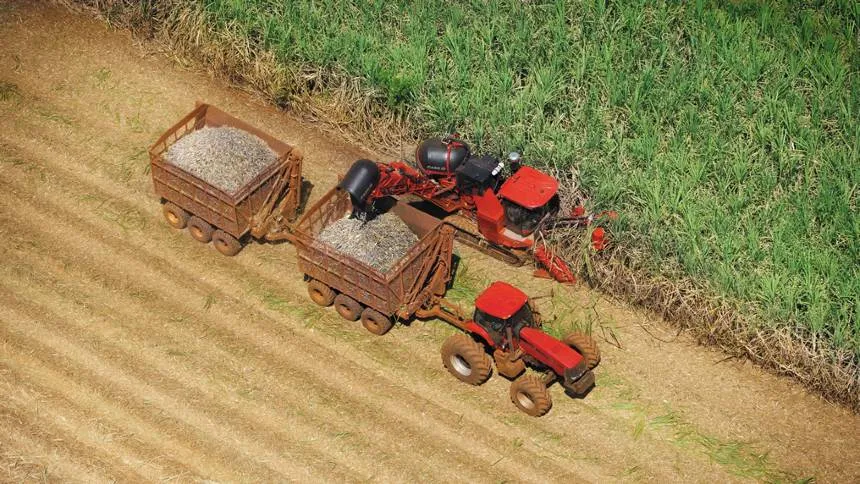 Na São Martinho, a fazenda do futuro está perto de virar realidade