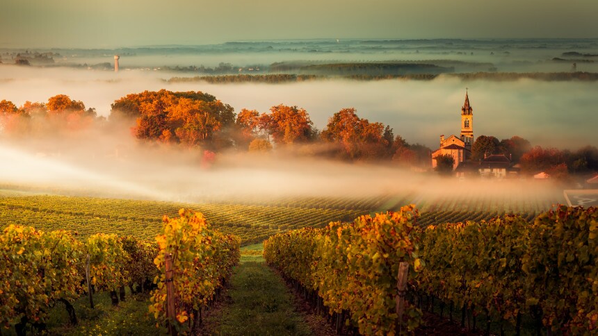 Em Bordeaux, a terra do vinho, um clima que pede novas uvas