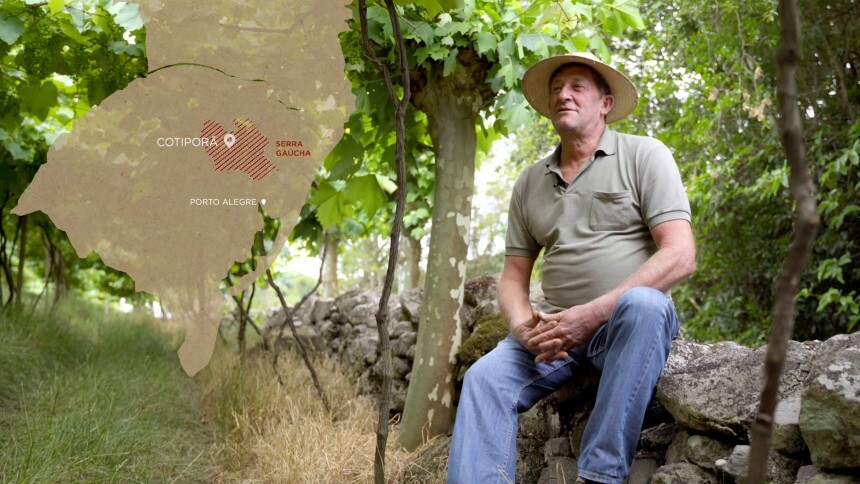 O “terroir” da centenária vinícola Salton chega às telas
