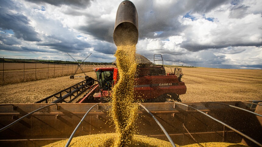 Agtech mais valiosa dos EUA prepara terreno para trazer seu marketplace de grãos ao Brasil
