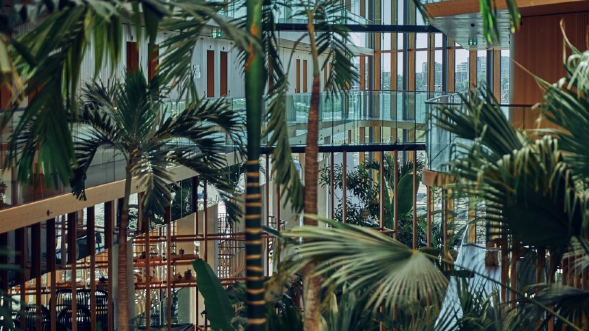 Na Holanda, um hotel sustentável com uma “selva urbana” em seu interior