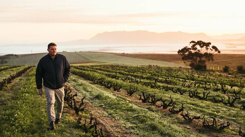 O drama “sem fim” dos produtores de vinho da África do Sul