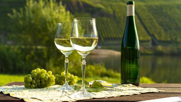 riesling foto v