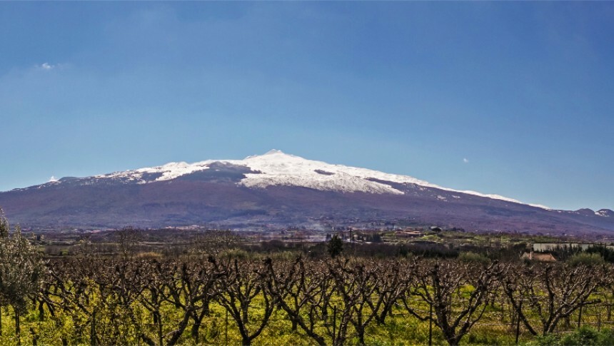 Ao redor do vulcão Etna, a "erupção" de um novo eldorado para os vinhos italianos