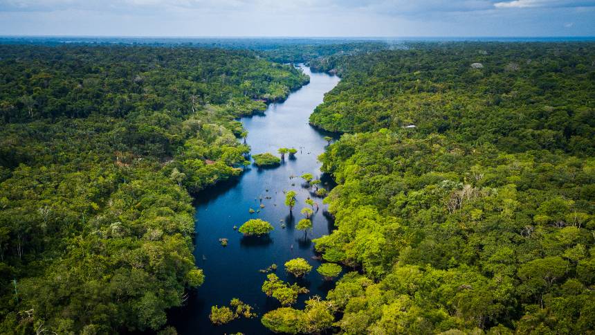 "O Estado brasileiro nunca parou para pensar no que a floresta é capaz", diz João Moreira Salles