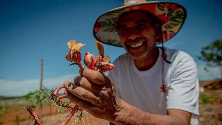 No Cerrado, um projeto que preserva a biodiversidade e combate à insegurança alimentar