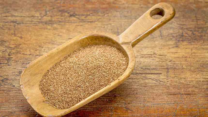 O minúsculo grão etíope que ameaça a supremacia da quinoa