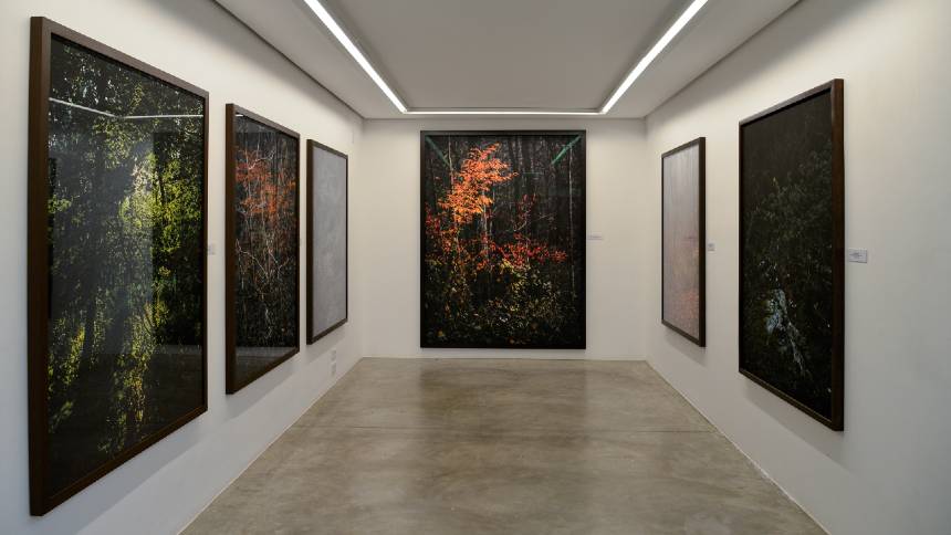 Vista da exposição de Edo Costantini na galeria Mario Cohen