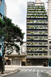 O edifício Magdalena Laura levou espécies nativas das matas brasileira para o centro de São Paulo (Crédito: Gabriel Cabral)