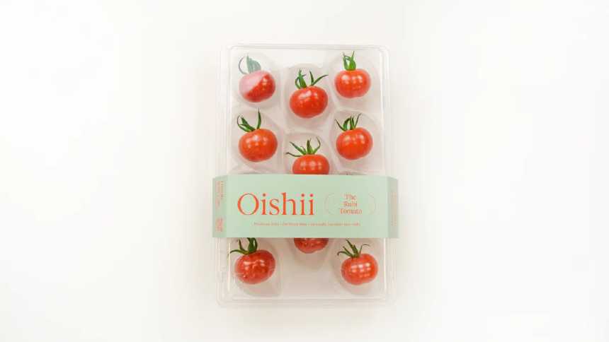 Os tomates The Rubī são considerados as "pedras preciosas" da agricultura indoor. Quase US$ 1 cada um (Crédito: Oishii)