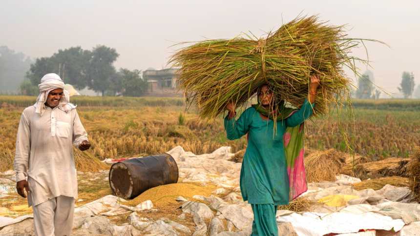 Agricultores indianos participam do projeto da Boomitra (Foto: Boomitra)
