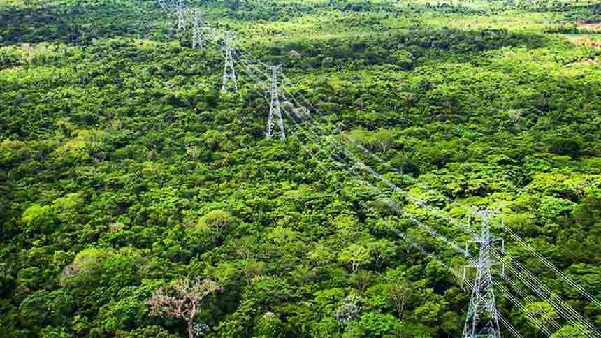 EXCLUSIVO: Distribuição de energia no Amazonas vira um drama de R$ 10 bilhões