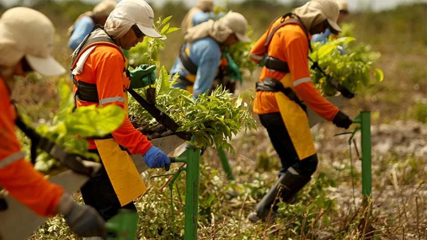 Banco Mundial "entra" na floresta amazônica para mexer com o mercado de crédito de carbono