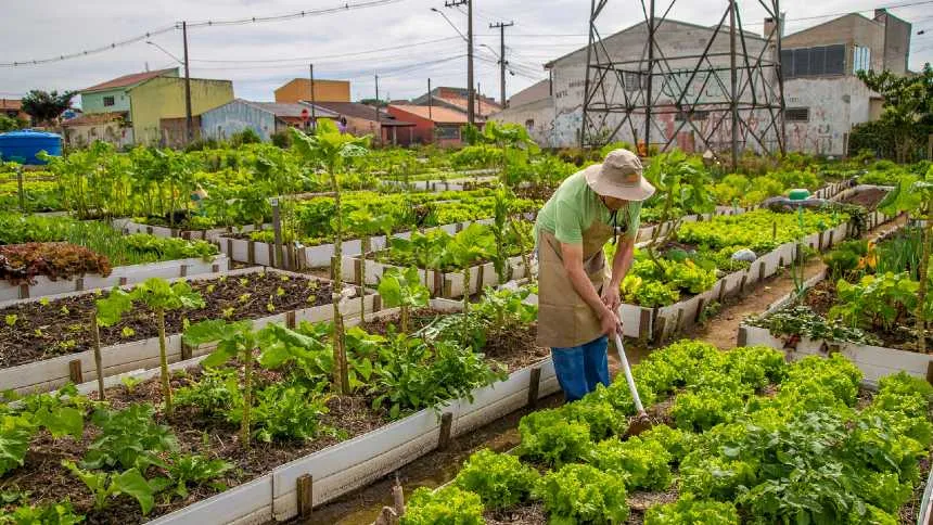 A agricultura urbana é o caminho mais curto entre a comida saudável e os desertos alimentares