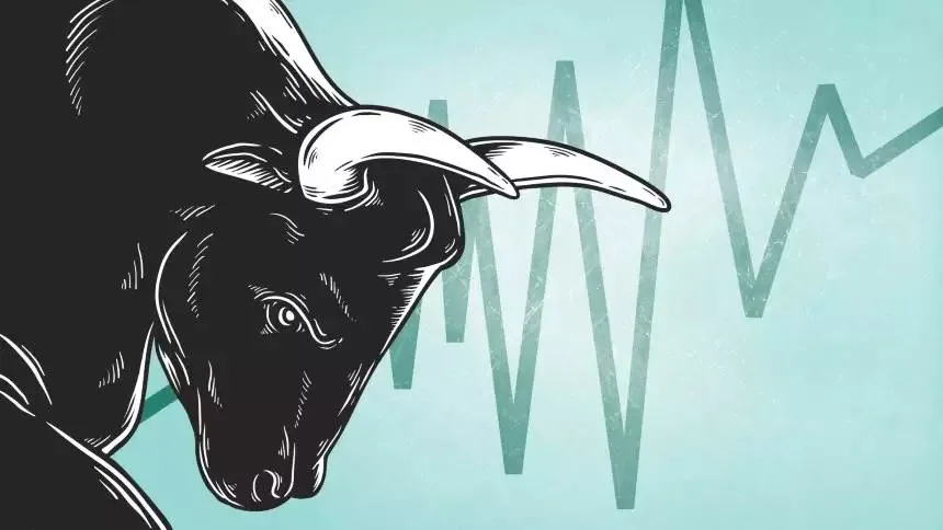 BULL MARKET bolsa de valores
