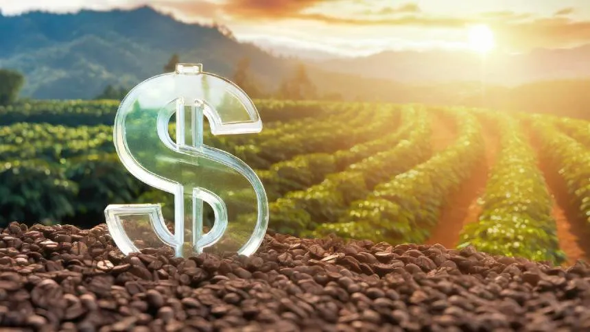 Bancada do agro no Congresso até concorda negociar taxação da LCA. Mas só para daqui a cinco anos