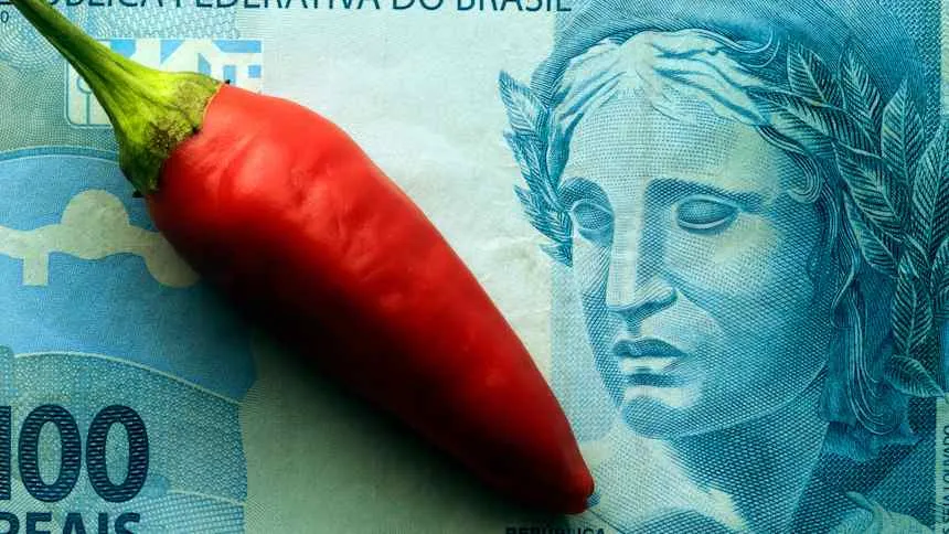 gestão apimentada