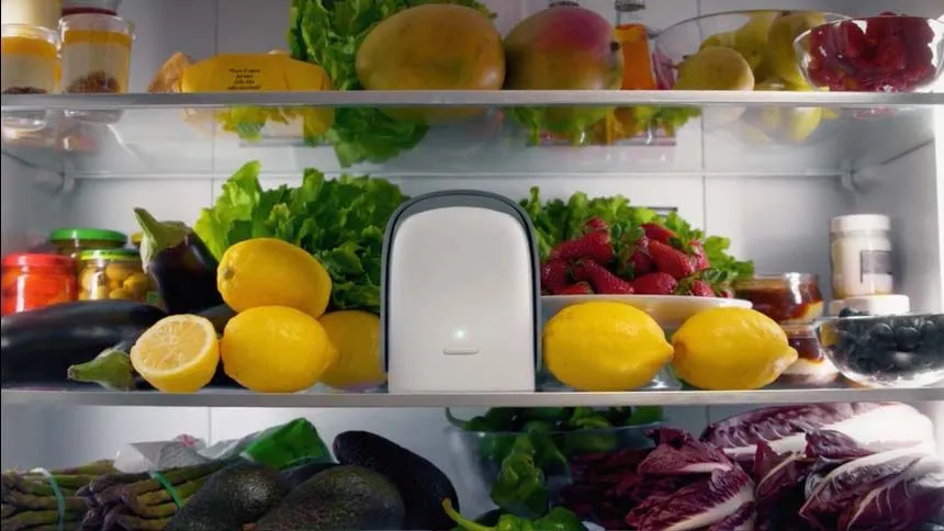 A "arma" made in Italy contra o desperdício de alimentos começa a ganhar tração