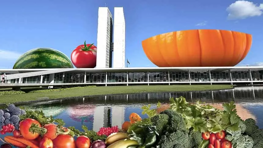 Pacto Contra a Fome lança agenda para “acelerar” o Congresso na garantia da segurança alimentar