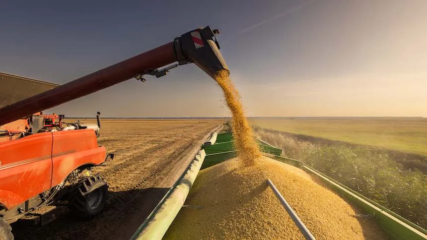 soja agronegócio