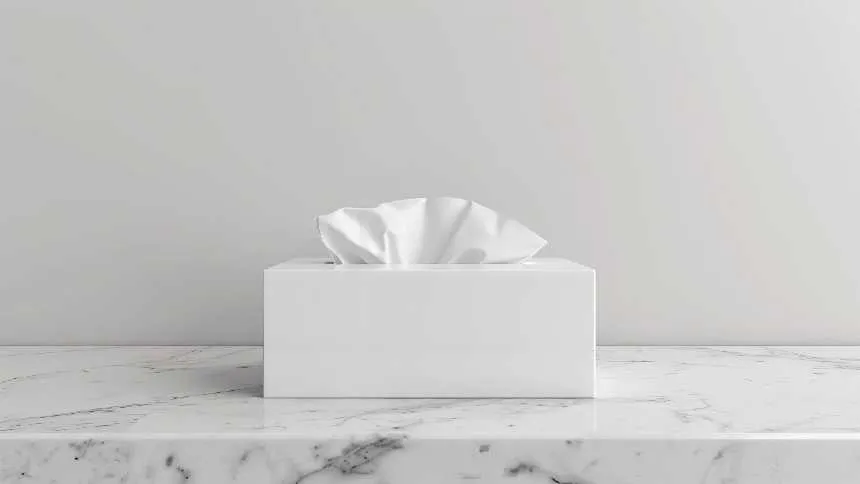 Ela quer fazer uma revolução nas empresas. Sua arma: uma caixa de lenços de papel