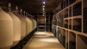 Vinícolas resgatam técnicas ancestrais para vinhos mais "puros"