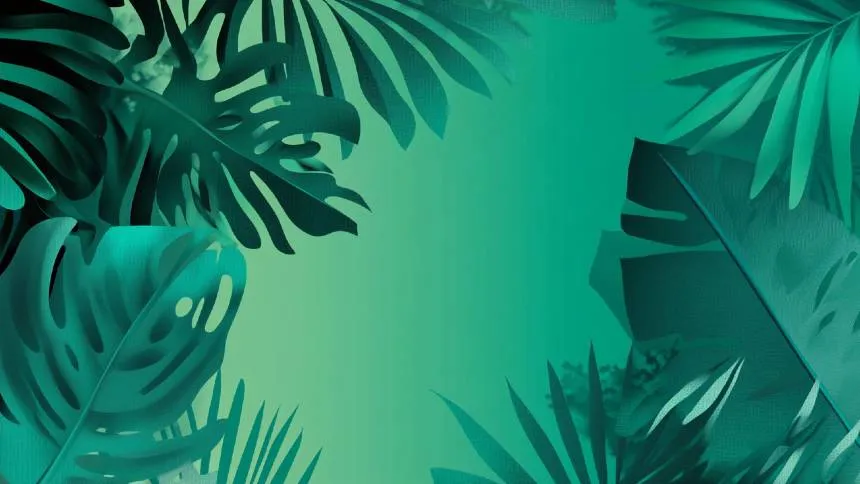 A contradição da COP30: CEOs de gigantes dos EUA faltam, mas empresas assumem compromisso