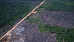 br-319 Manaus Porto Velho rodovia (Foto: Orlando K Junior/Agência Brasil)