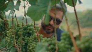 Uma nova geografia do vinho: os terroirs nordestinos começam a ganhar espaço