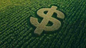 JiveMauá estreia no agro com fundo de R$ 500 milhões