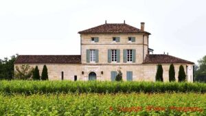O clima virou o jogo: vinhos de elite rompem regras e abandonam selos de origem