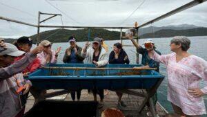 Chefs viram guias de viagem para levar turistas a experiências "fora do cardápio"