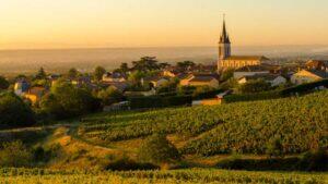 A revanche da Gamay, a uva que a Borgonha rejeitou (e Beaujolais adotou)